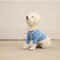 Macaron Series Adjustable Dog Harness Vest And Pet Leash Set For Small And Medium Dogs 10