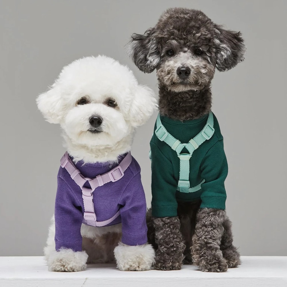Macaron Series Adjustable Dog Harness Vest And Pet Leash Set For Small And Medium Dogs 12