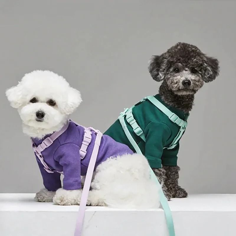 Macaron Series Adjustable Dog Harness Vest And Pet Leash Set For Small And Medium Dogs 13