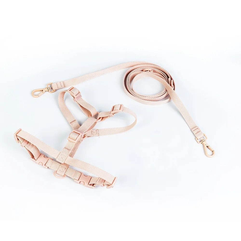 Macaron Series Adjustable Dog Harness Vest And Pet Leash Set For Small And Medium Dogs 4