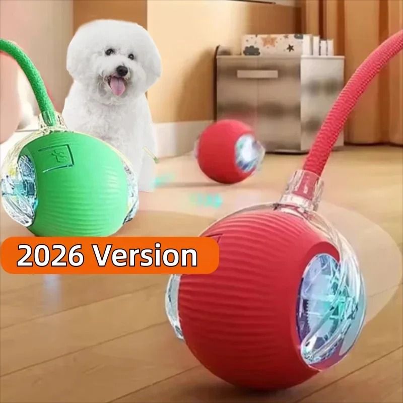 Smart Automatic Interactive Dog Ball Rechargeable Rolling Toy For Puppies And Dogs 0