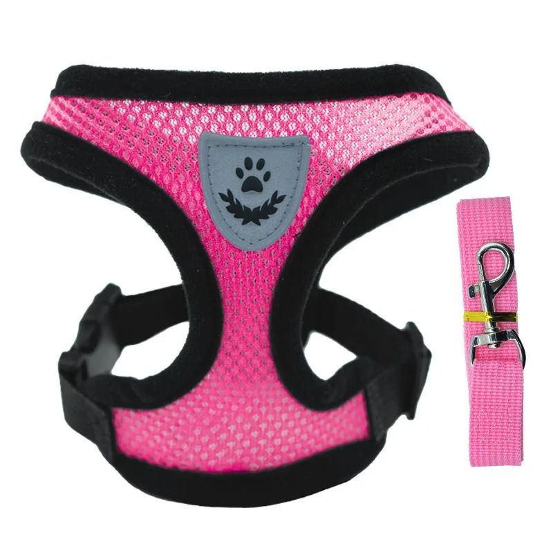 Breathable Summer Dog Harness Vest With Leash For Small Dogs And Cats 9