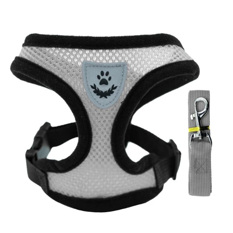 Breathable Summer Dog Harness Vest With Leash For Small Dogs And Cats 4