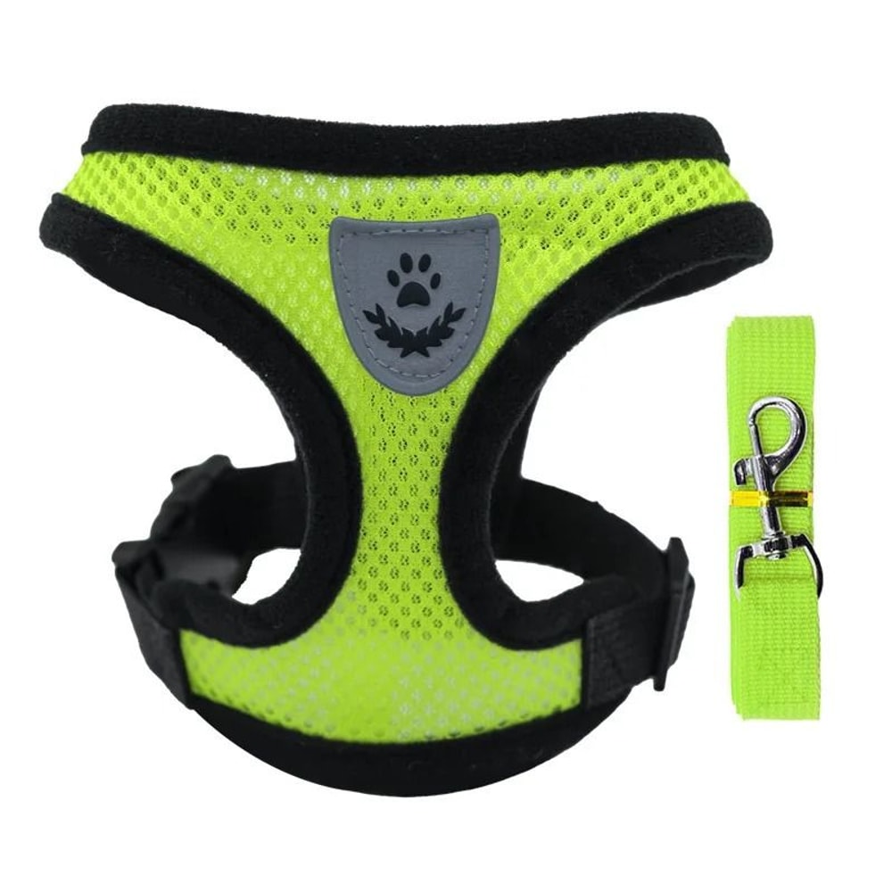 Breathable Summer Dog Harness Vest With Leash For Small Dogs And Cats 2