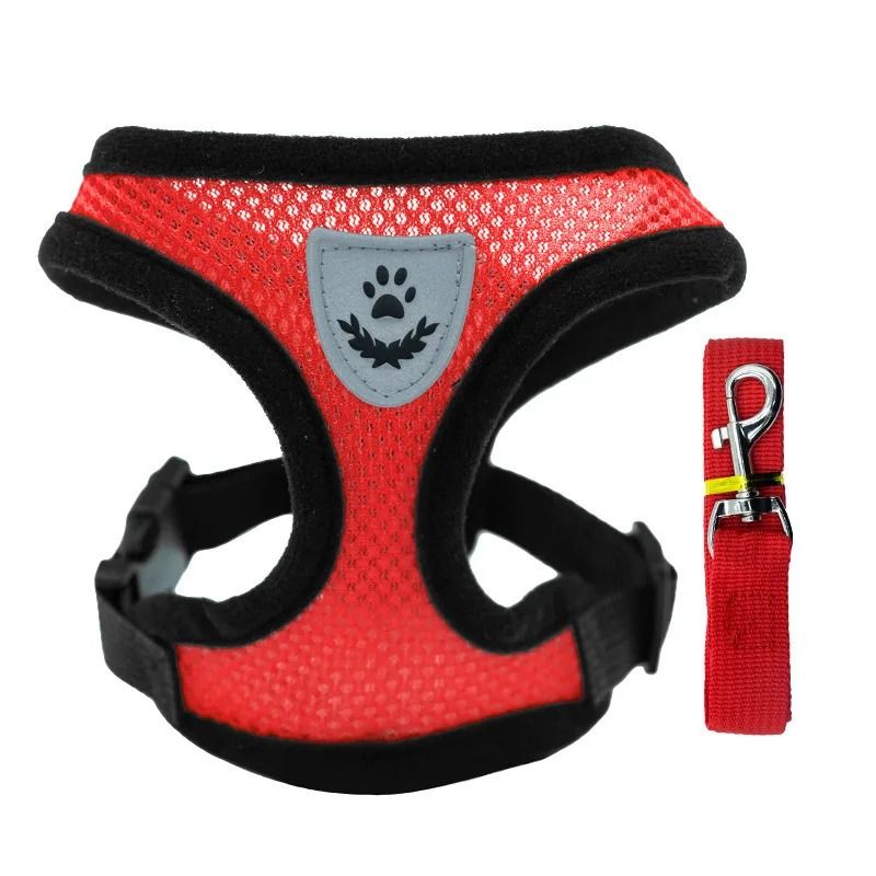 Breathable Summer Dog Harness Vest With Leash For Small Dogs And Cats 3