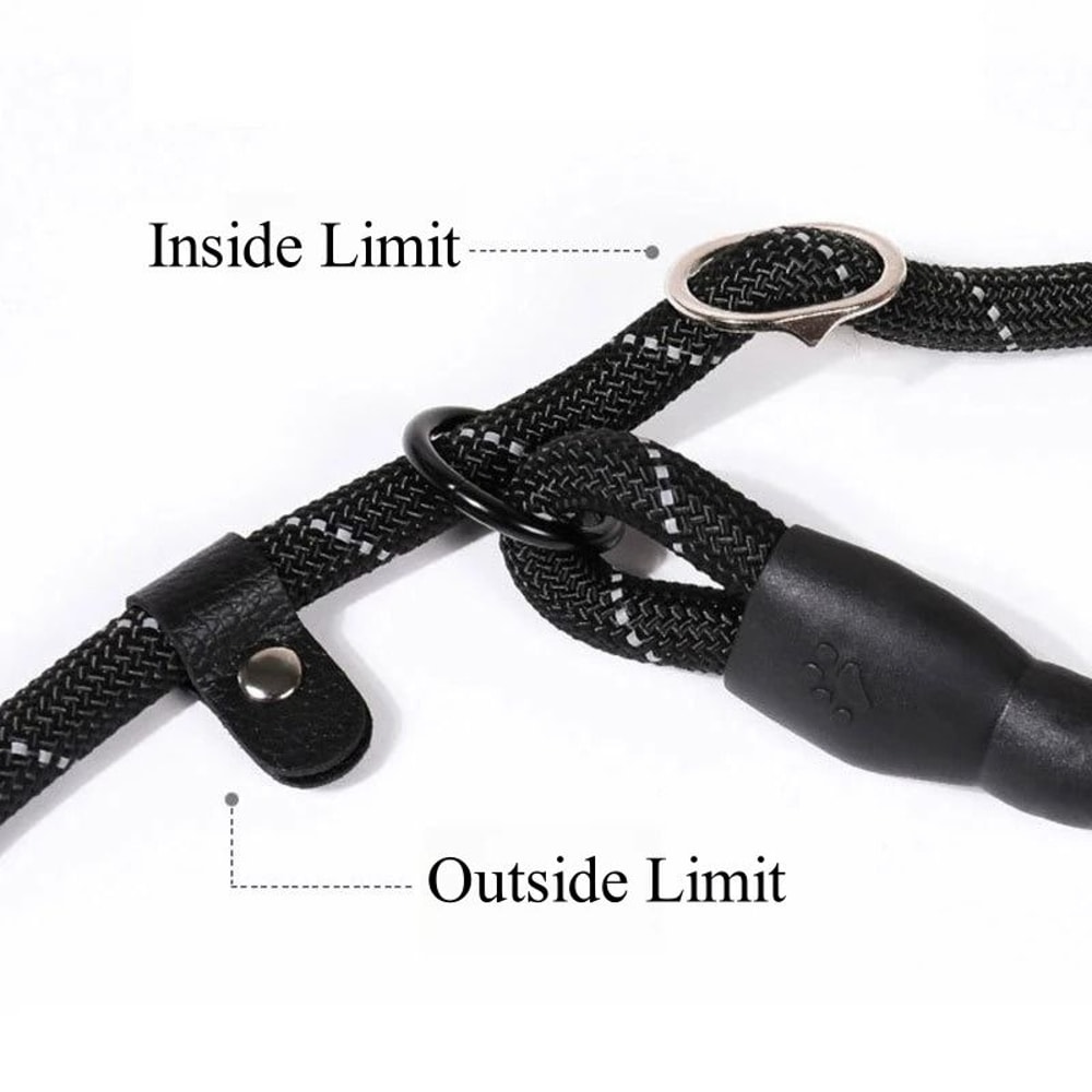 Strong Dog Leash Anti Pull Slip Rope Lead For Small Medium And Large Dogs 10