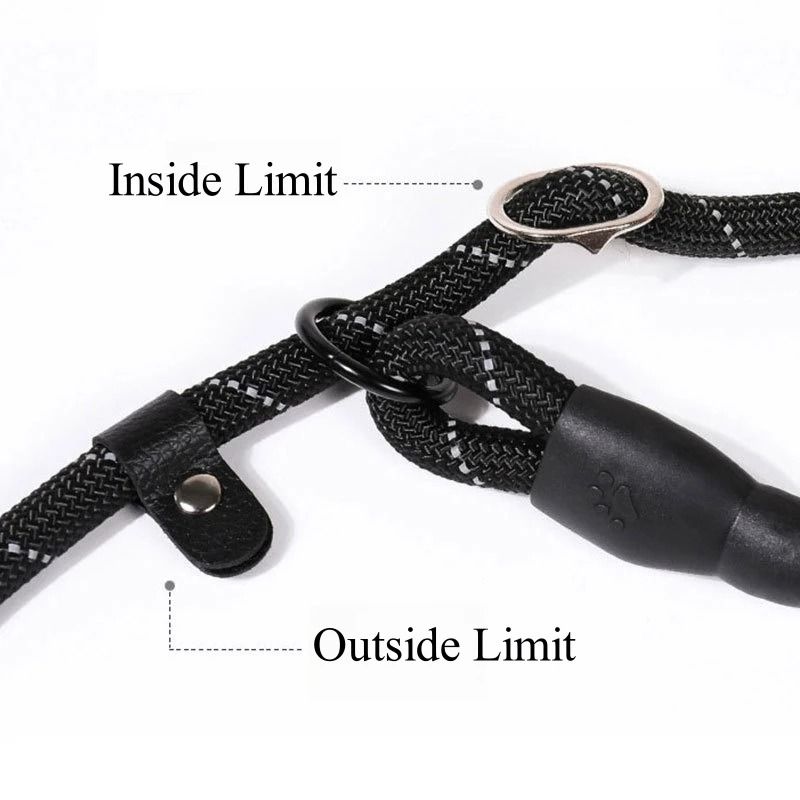 Strong Dog Leash Anti Pull Slip Rope Lead For Small Medium And Large Dogs 10