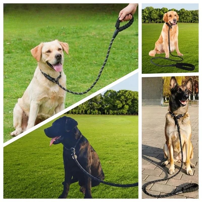 Strong Dog Leash Anti Pull Slip Rope Lead For Small Medium And Large Dogs 11
