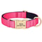 Personalized Waterproof Dog Collar With Soft Padding And Free Engraving For Small Medium And Large 2