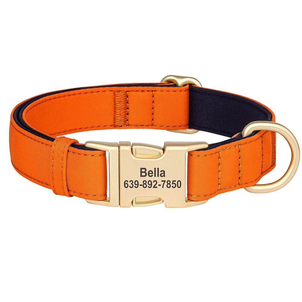 Personalized Waterproof Dog Collar With Soft Padding And Free Engraving For Small Medium And Large 7