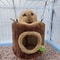 Tree Stump Shape Hamster Hammock Bed Cozy Small Animal Pet House For Hamsters And Rats 8