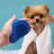 Adjustable Ring Handle Pet Grooming Brush Rubber Bristle Shedding And Bath Comb For Dogs And Cats 5