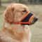 Breathable Mesh Dog Muzzle Adjustable Anti Biting Mask For Small Medium And Large Dogs 7