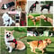 Strong Adjustable Dog Harness Vest For Small Medium And Large Dogs 11