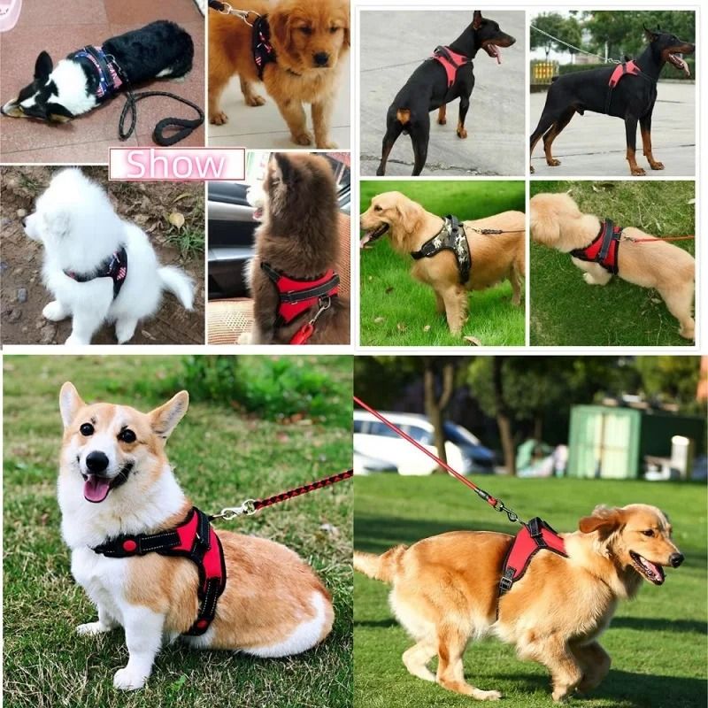 Strong Adjustable Dog Harness Vest For Small Medium And Large Dogs 11