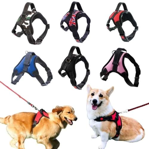 Strong Adjustable Dog Harness Vest for Small Medium and Large Dogs