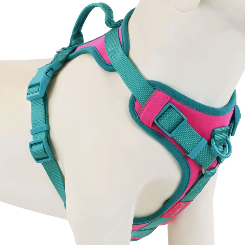 Breathable No Pull Dog Harness Adjustable Chest Strap Vest For Small Medium And Large Dogs 5