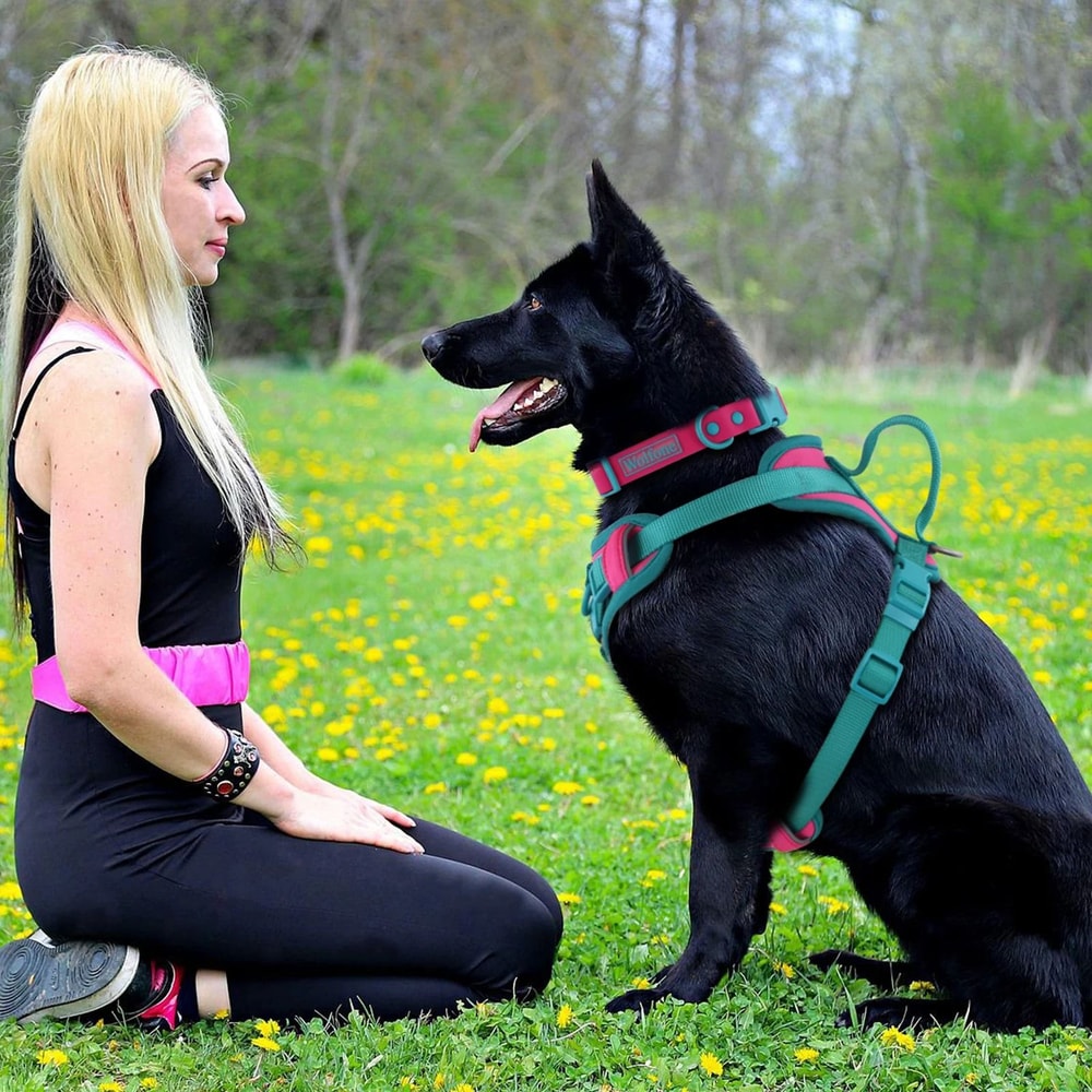 Breathable No Pull Dog Harness Adjustable Chest Strap Vest For Small Medium And Large Dogs 9