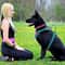 Breathable No Pull Dog Harness Adjustable Chest Strap Vest For Small Medium And Large Dogs 9