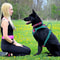 Breathable No Pull Dog Harness Adjustable Chest Strap Vest For Small Medium And Large Dogs 9