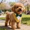Sucado Formal Dog Bandana Tuxedo Adjustable Wedding And Party Scarf For Pets 10