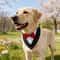 Sucado Formal Dog Bandana Tuxedo Adjustable Wedding And Party Scarf For Pets 11