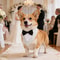 Sucado Formal Dog Bandana Tuxedo Adjustable Wedding And Party Scarf For Pets 9
