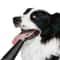 Ultrasonic Pet Tooth Cleaner Electric Plaque Removal Dental Care Tool For Dogs And Cats 6