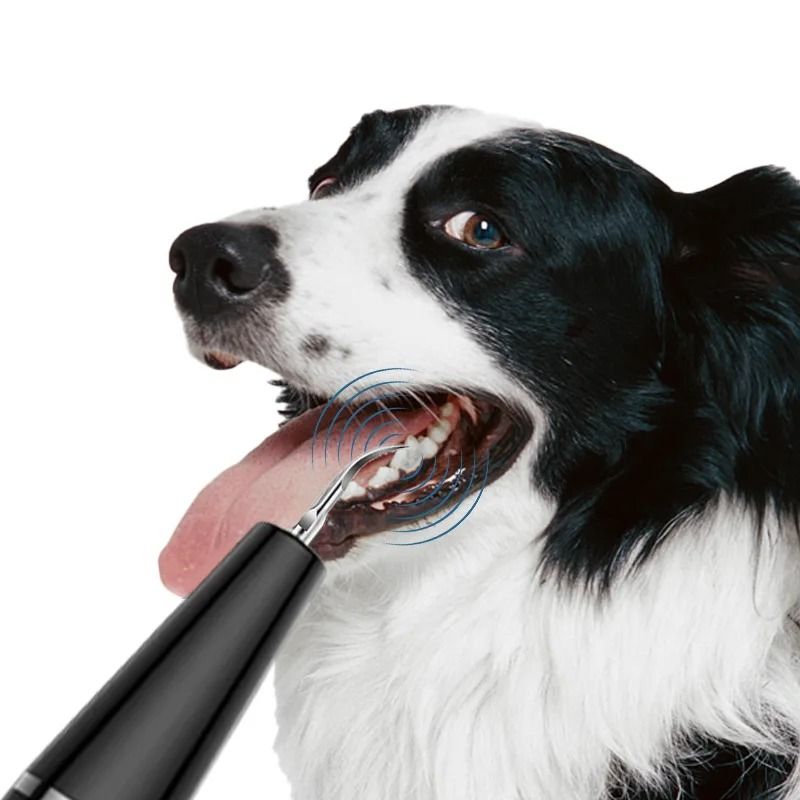 Ultrasonic Pet Tooth Cleaner Electric Plaque Removal Dental Care Tool For Dogs And Cats 6