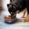 Stainless Steel Dog Feeding Bowl Non Slip Food And Water Dish For Dogs And Cats 7