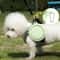 Collapsible Silicone Travel Dog Bowl Portable Folding Food And Water Bowl For Dogs And Cats 10