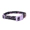Adjustable Small Dog Harness And Leash Set Soft Puppy Vest For Cats And Small Pets 2