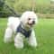 Adjustable Small Dog Harness And Leash Set Soft Puppy Vest For Cats And Small Pets 16