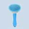 Stainless Steel Pet Grooming Brush And Cat Massage Comb For Dogs And Cats 2