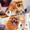 Stainless Steel Pet Grooming Brush And Cat Massage Comb For Dogs And Cats 5
