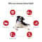 Natural Rubber Squeaky Dog Chew Toy Interactive Ball For Small And Medium Dogs 4