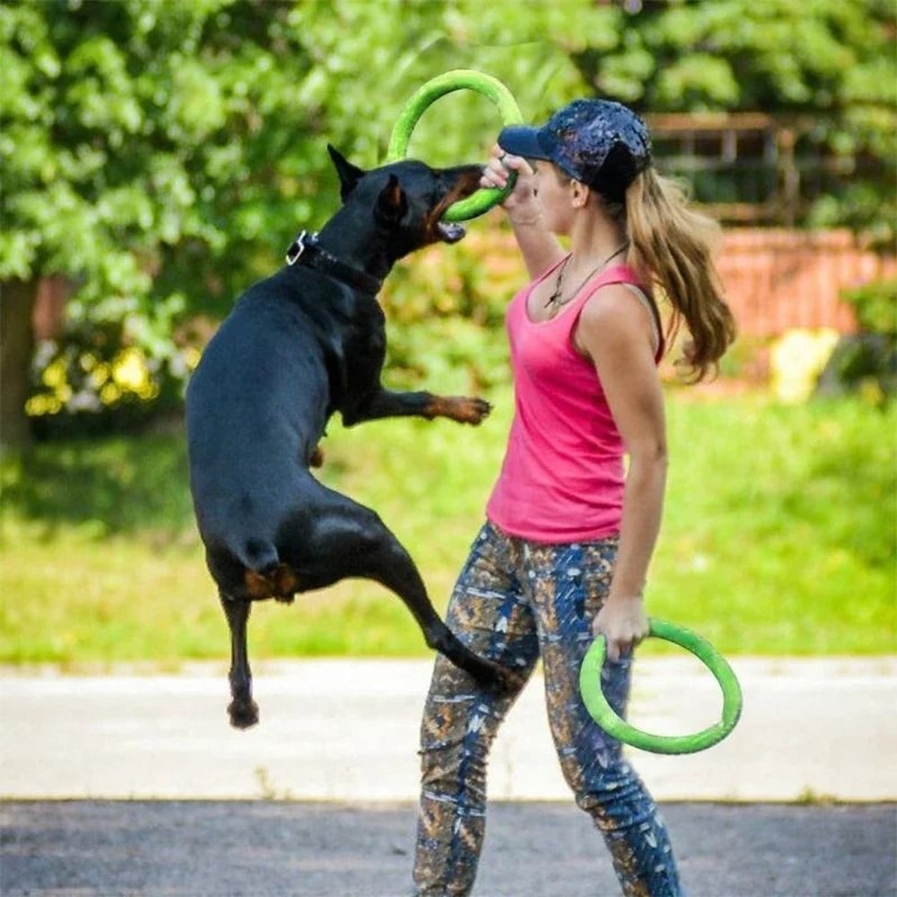 Interactive EVA Dog Flying Disc Floating Training Ring Toy For Dogs 10