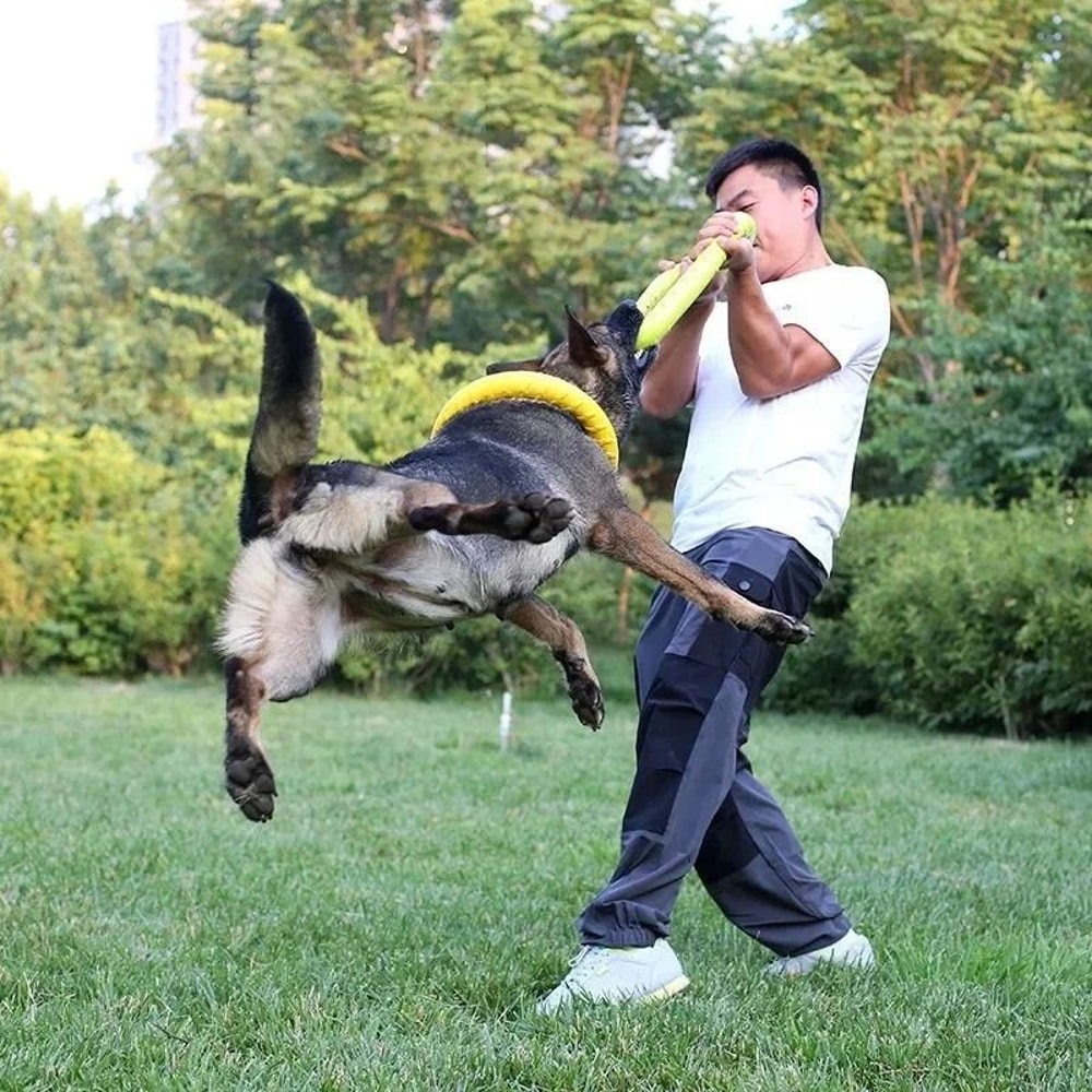 Interactive EVA Dog Flying Disc Floating Training Ring Toy For Dogs 7