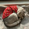 Sanrio Inspired Pet Vest Shirt Soft Sleeveless Printed T Shirt For Dogs And Cats 1