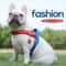 Reflective Dog Chest Harness Nylon Outdoor Walking Harness With Handle For Dogs 0