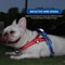 Reflective Dog Chest Harness Nylon Outdoor Walking Harness With Handle For Dogs 9