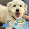 Interactive Pet Lick Mat Slow Feeder Dental Care Snack Plate For Dogs And Cats 3