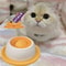 Interactive Pet Lick Mat Slow Feeder Dental Care Snack Plate For Dogs And Cats 4