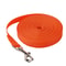 Extended Long Dog Leash Nylon Outdoor Training Rope For Puppies And Large Dogs 6