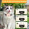YHLC Cat Anti Meowing Collar Automatic No Shock Vibration Training Collar For Cats 8