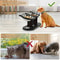Elevated Cat Food Bowl With Stainless Steel Dish And Wooden Support Stand 4