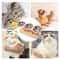 Elevated Cat Feeding Station With Raised Wood Stand And 3 Stainless Steel Bowls 4
