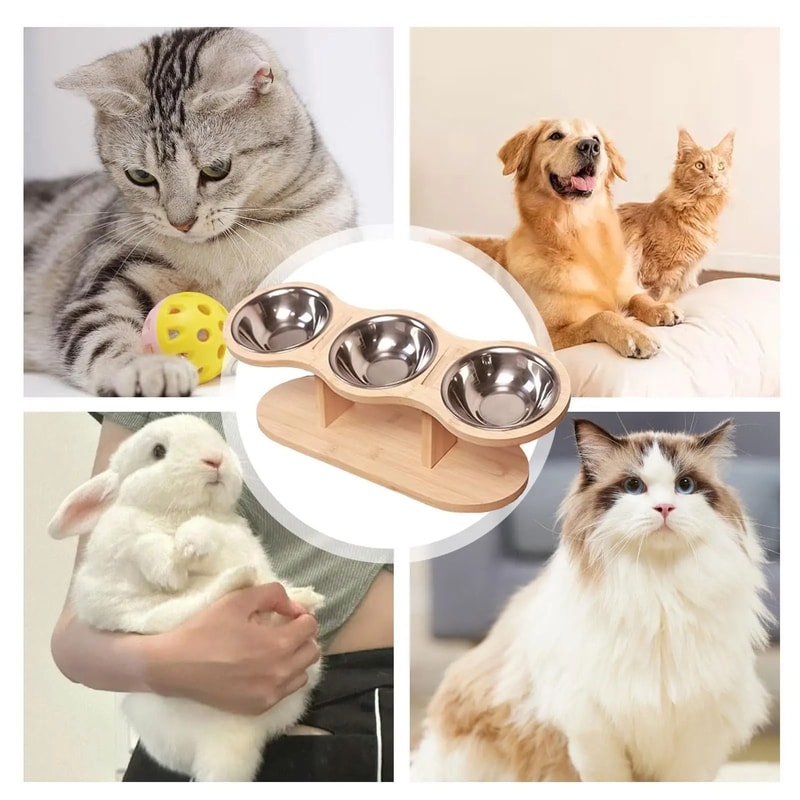 Elevated Cat Feeding Station With Raised Wood Stand And 3 Stainless Steel Bowls 4
