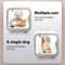 Ultra Quiet Pet Dryer Box Portable Low Noise Grooming Dryer For Cats And Dogs 5
