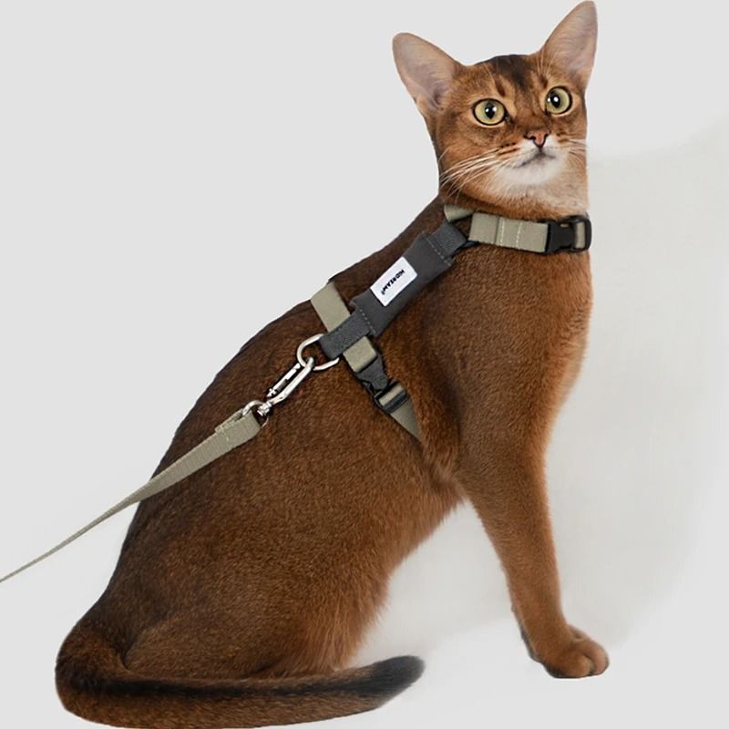 Breathable Cat Harness Leash Set Adjustable Kitten Vest And Outdoor Walking Lead 3